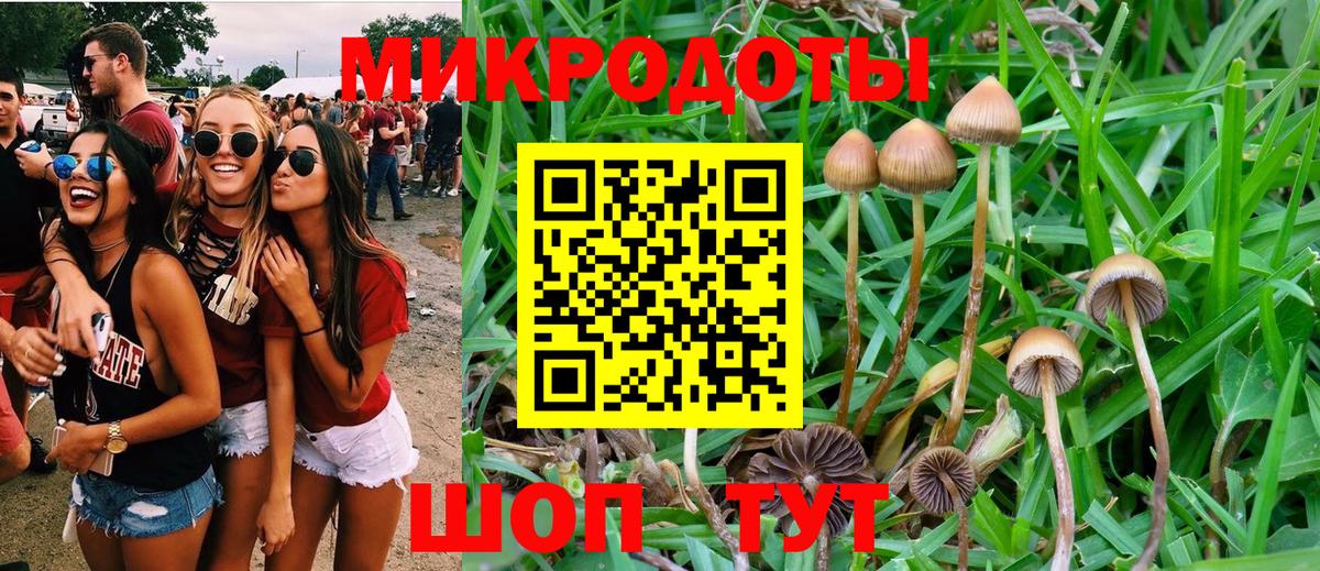 Псилоцибиновые грибы MAGIC MUSHROOMS Александров